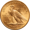 USA 10 $ Indian Head